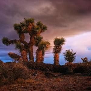 Meet your Posher, Douglas